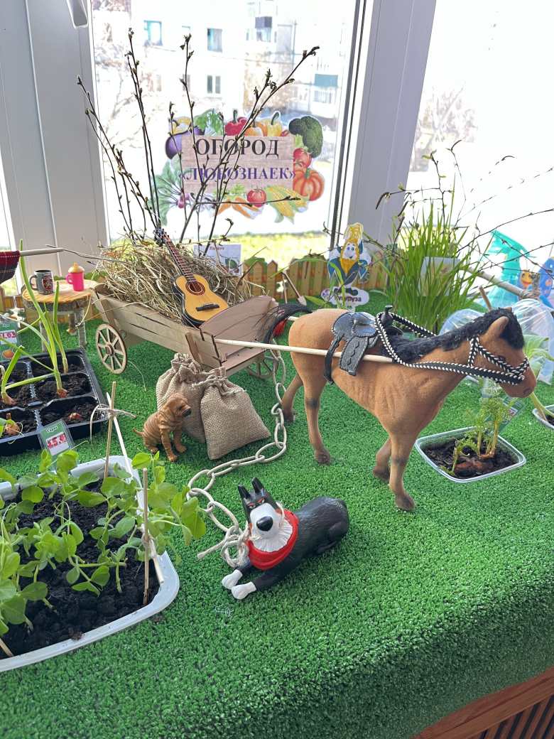 Огород на окошке