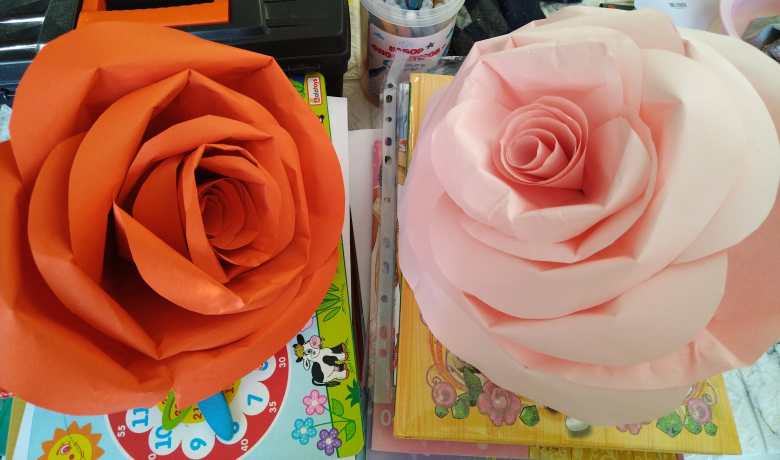 Роза маме и роза бабушке.