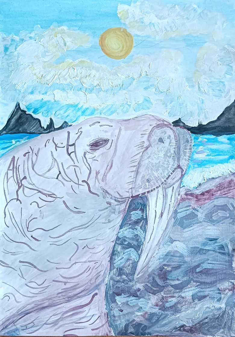 Морж.