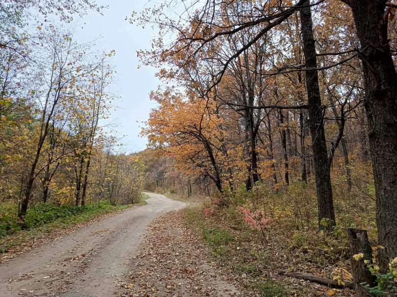 Золотая осень