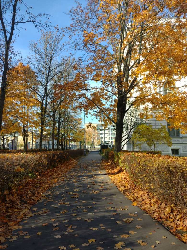 Осень в моем городе