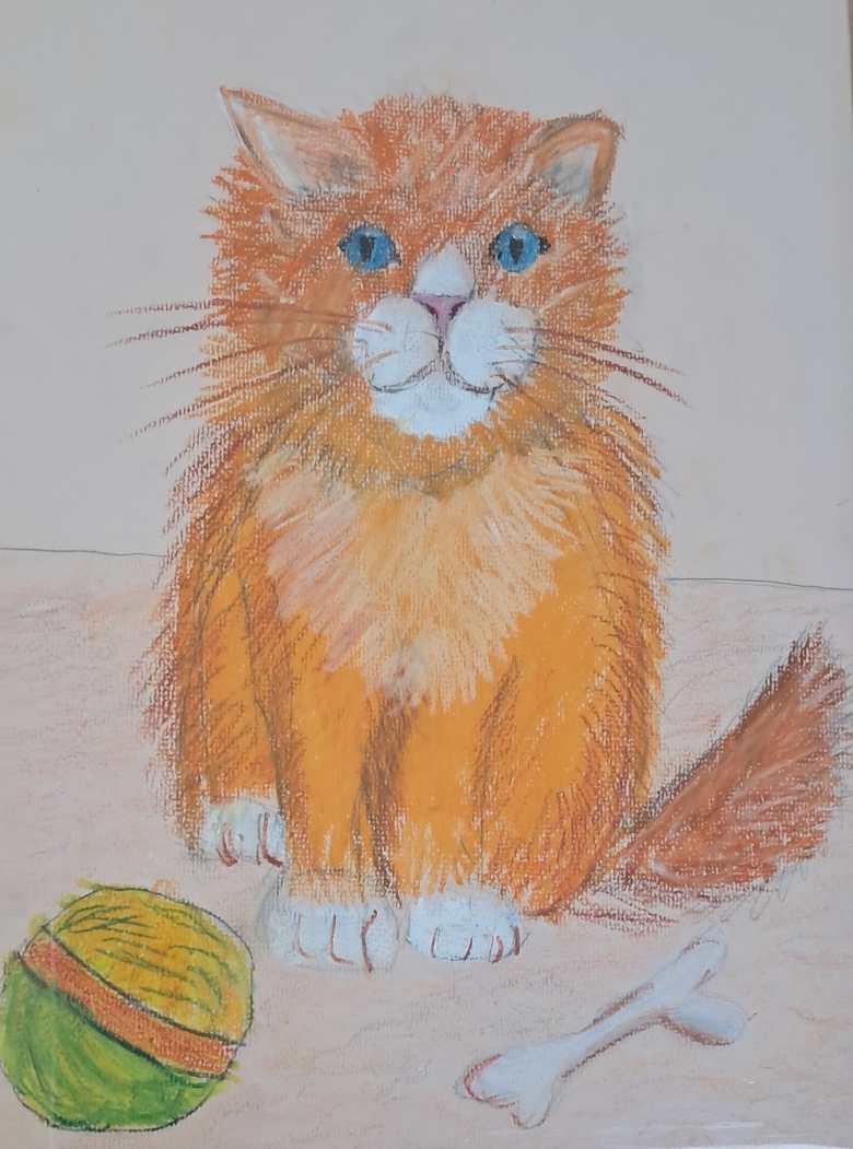 Любимый кот