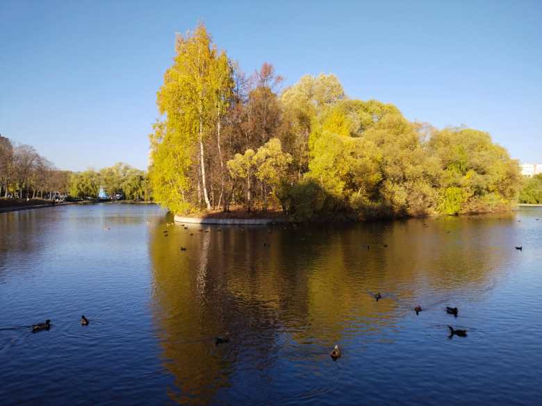 Золотая осень 