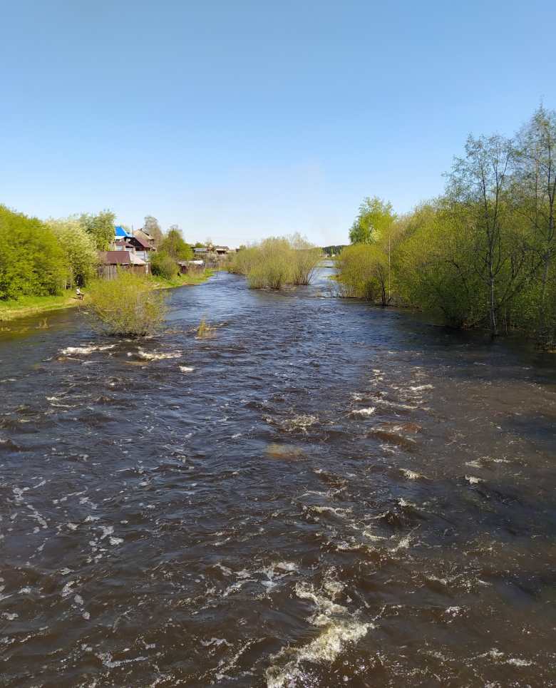 Река Турья