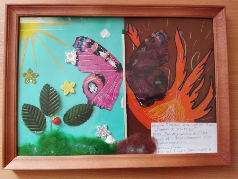 Пожар в природе