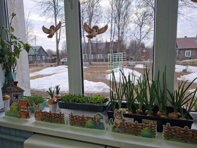 Огород лесных зверей.