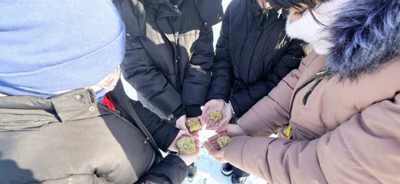 Экологическая акция "Тепло птицам"