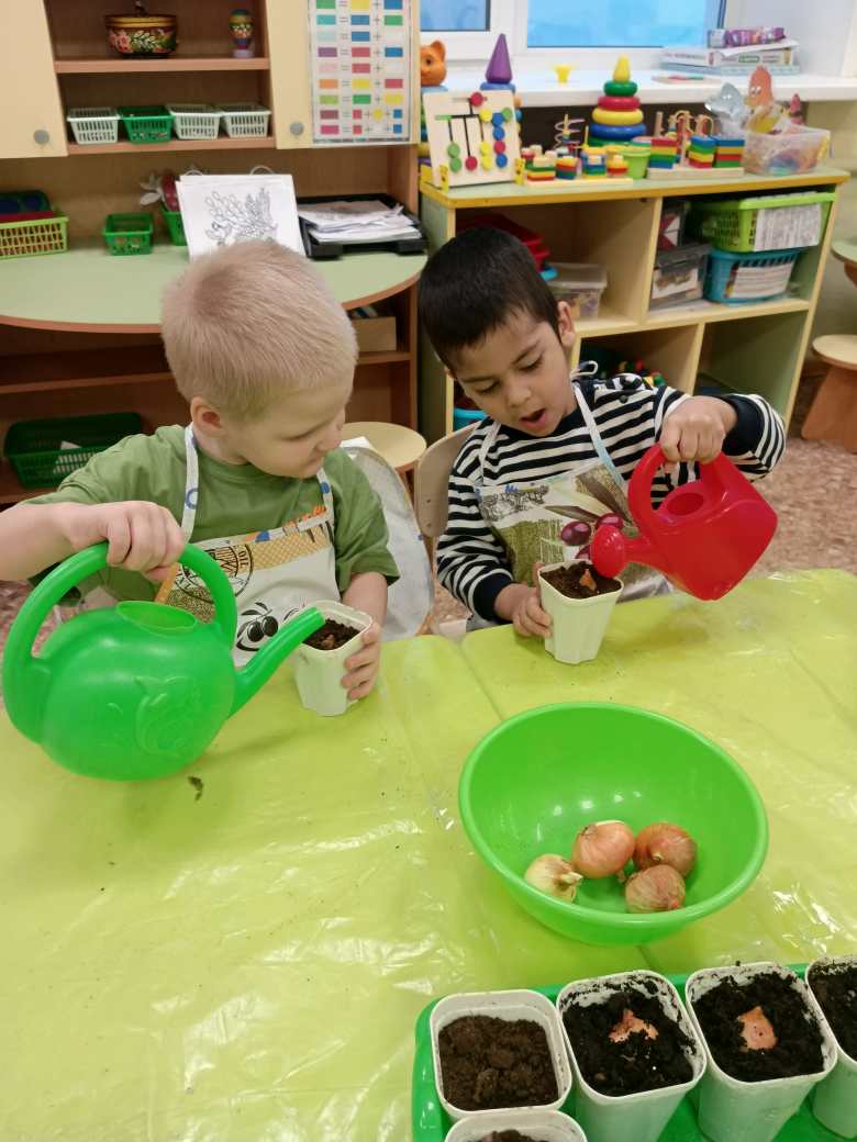 Огород на подоконнике 