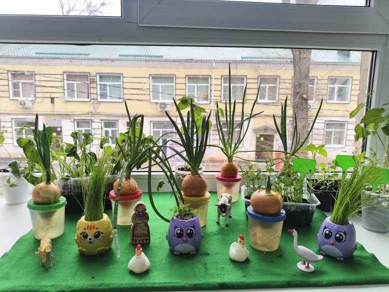 "Витамины растут на глазах"