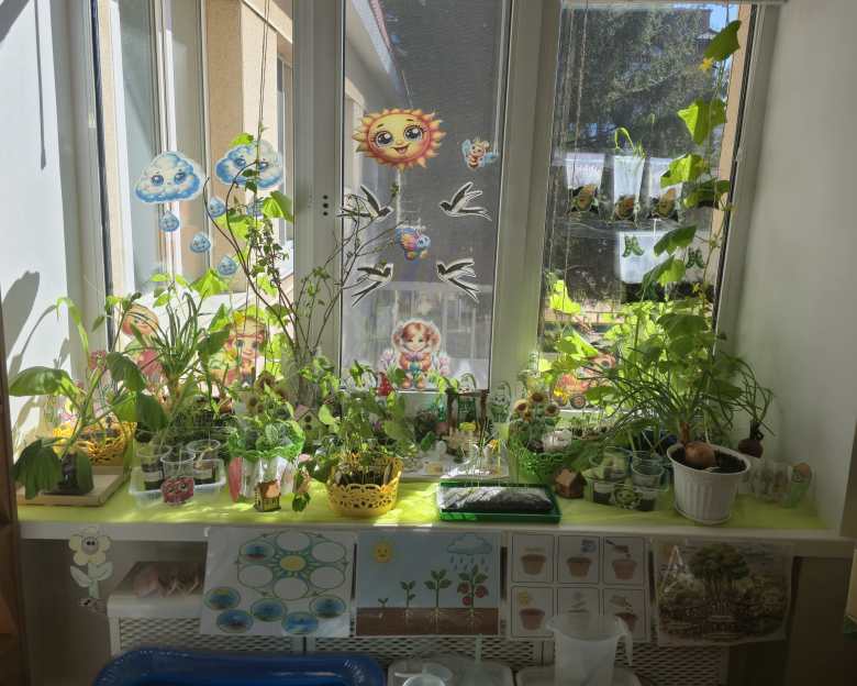 "Зеленая сказка"