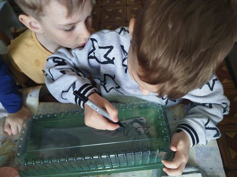 Аллея из платанов
