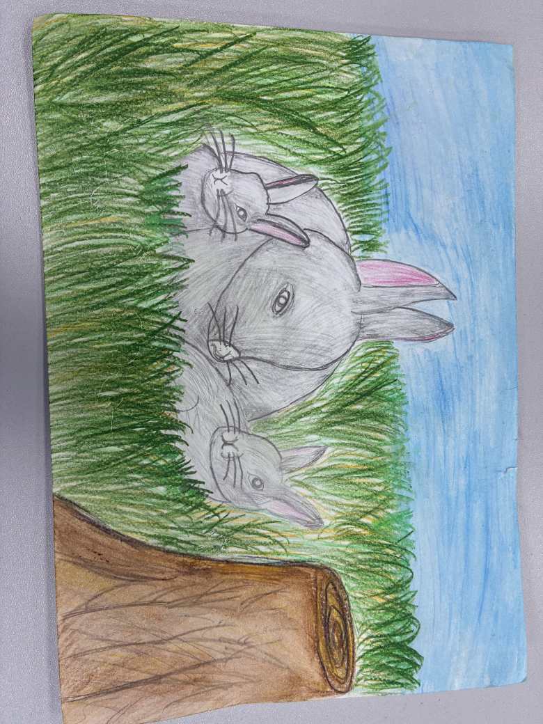 Семья Зайцев на поляне