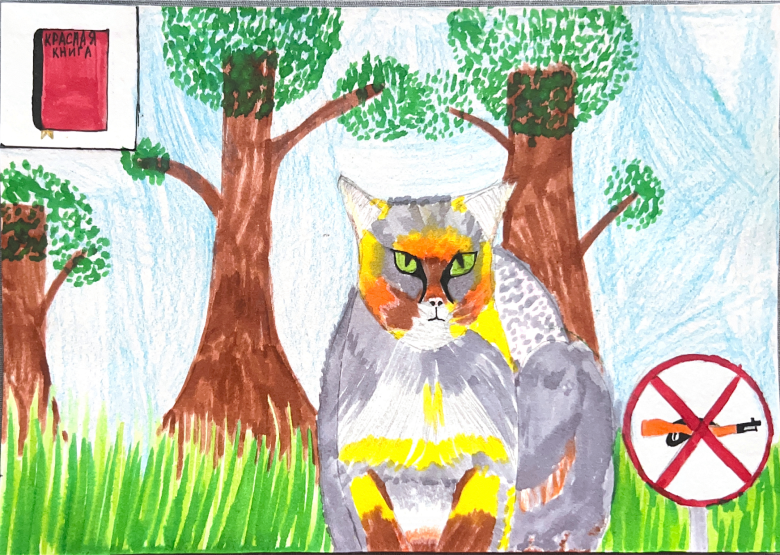 Камышовый кот