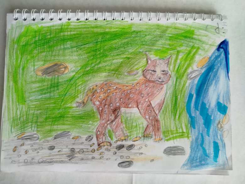 Рысь у водопада