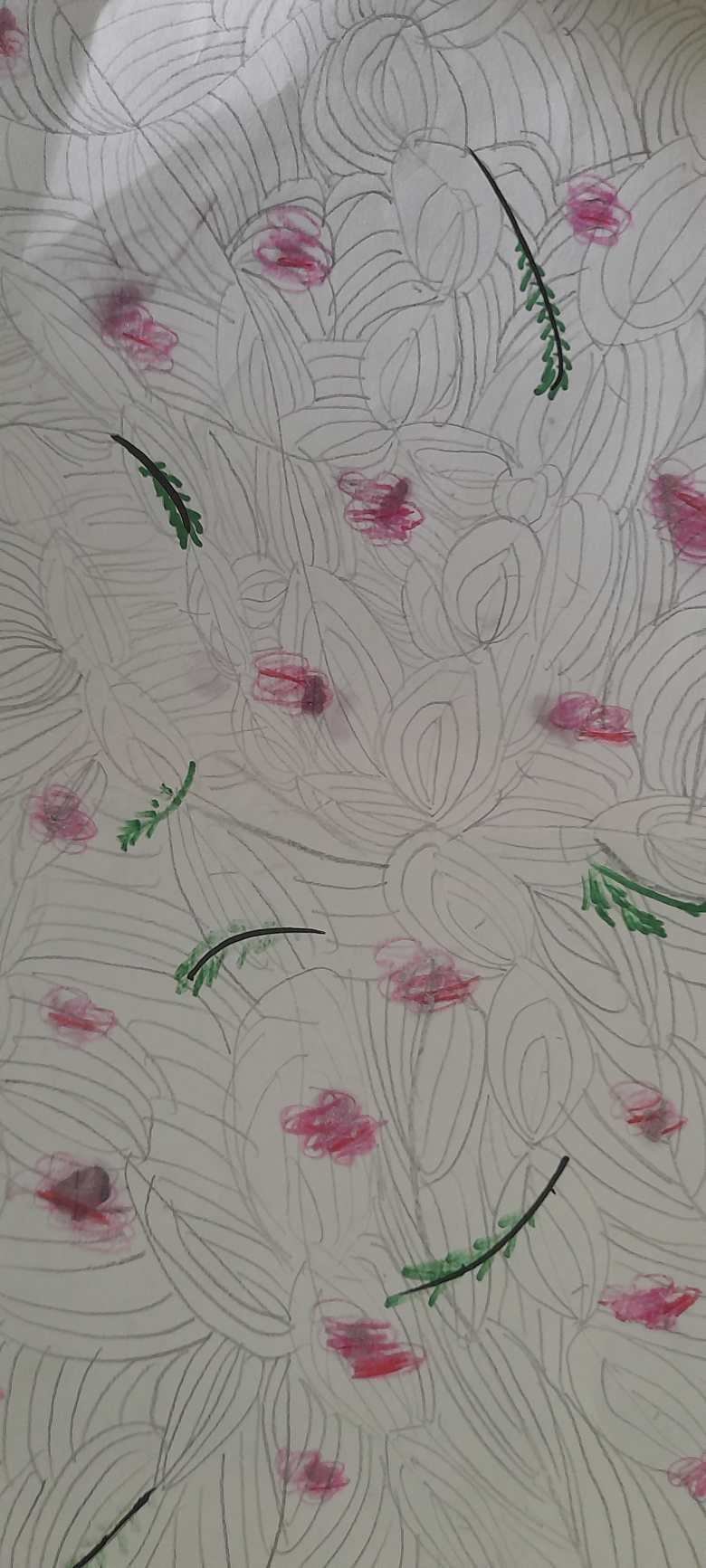 Цветение сакуры 