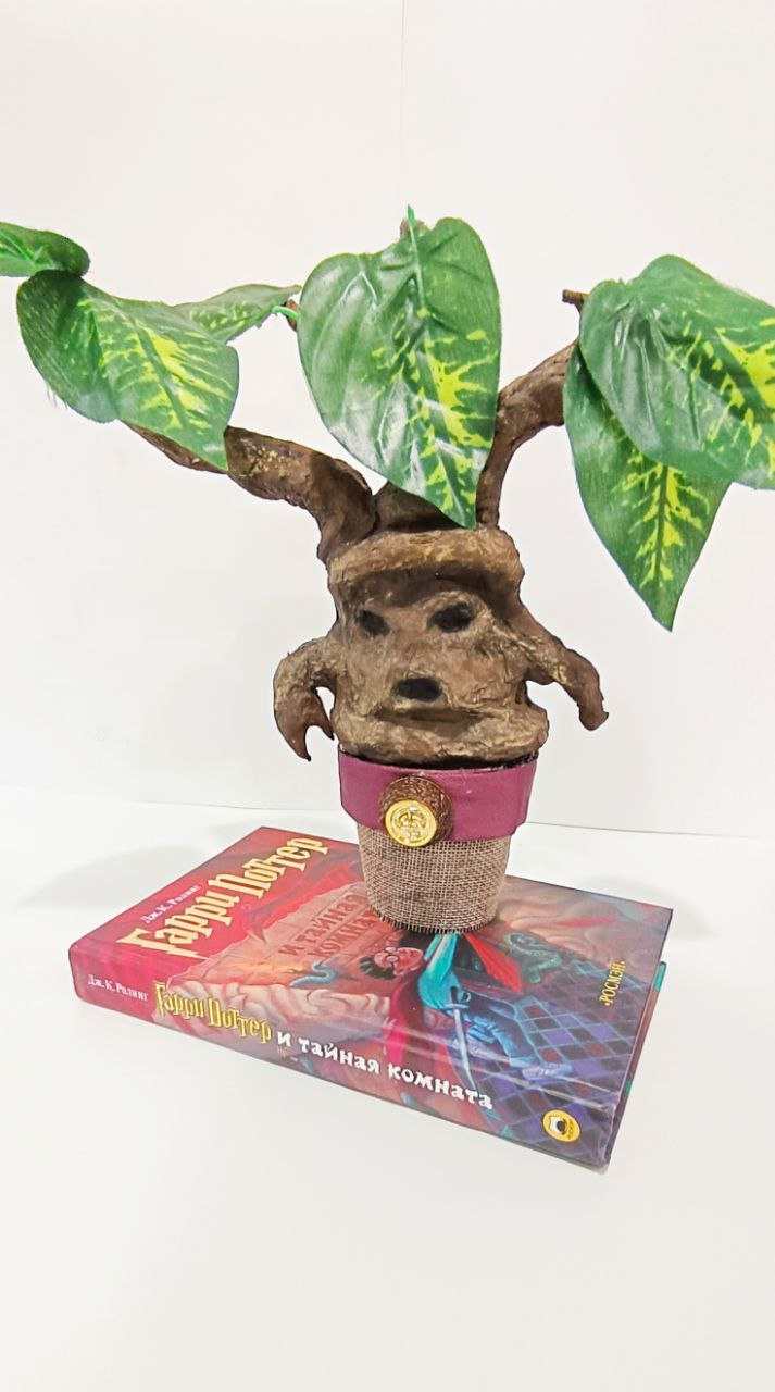 Корень Мандрагоры