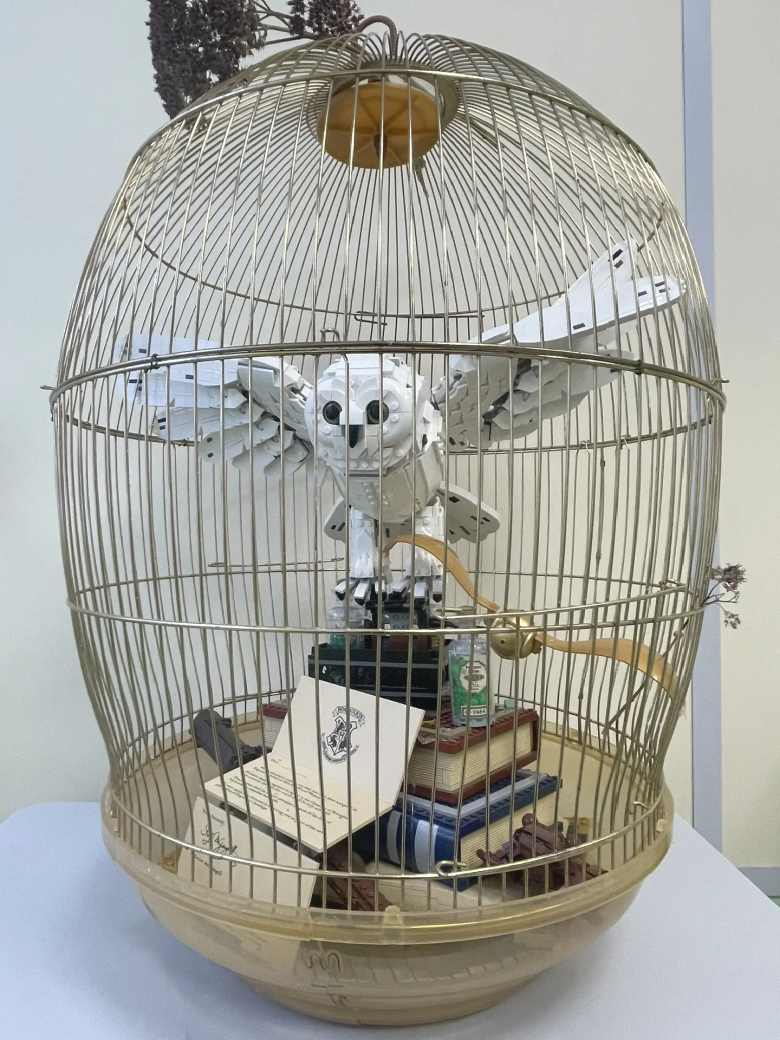 Сова в клетке