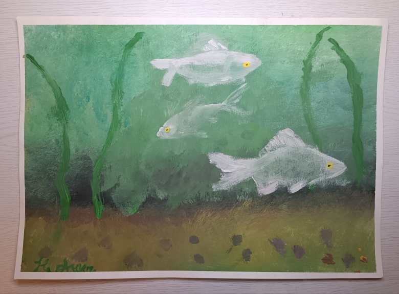 Подводные обитатели старого пруда