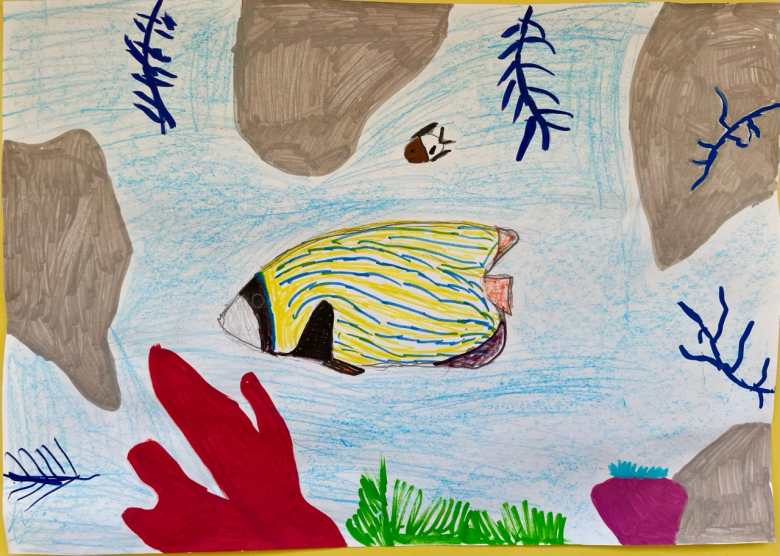 Морская жизнь