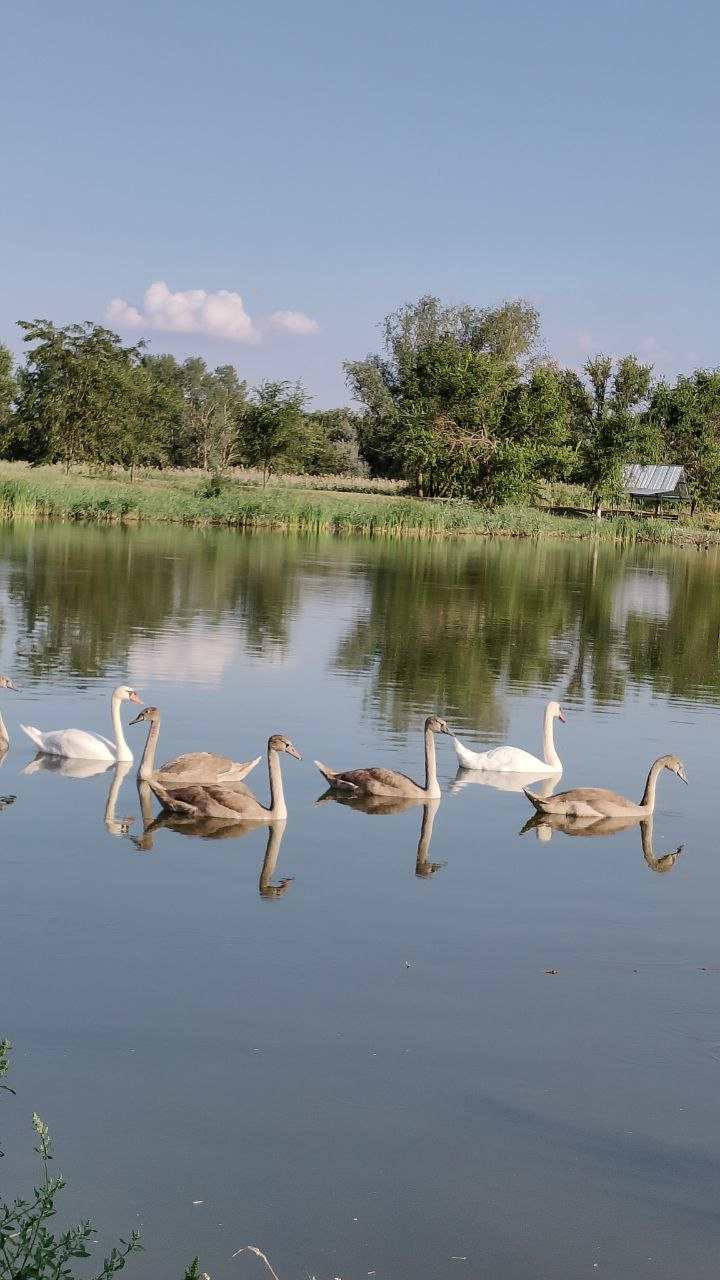 Зеркальные пруды