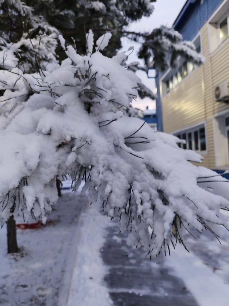 Зимняя сказка в детском саду