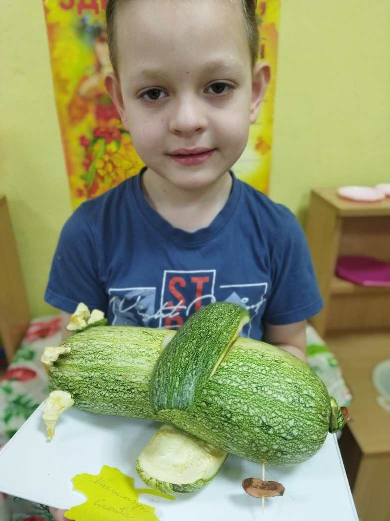 Весёлый самолёт