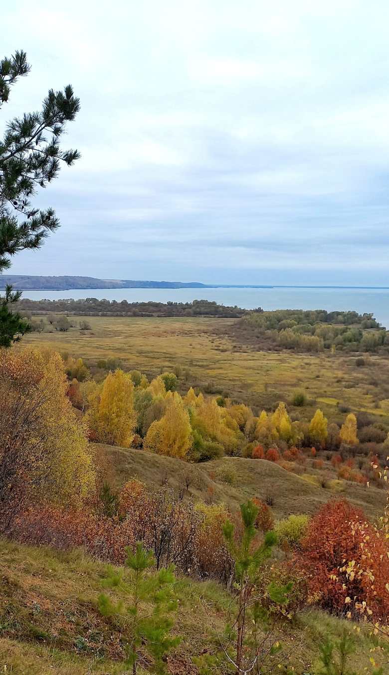 Вид на осень
