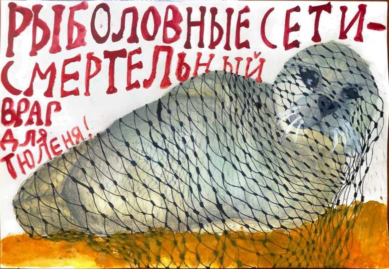 Рыболовные сети - смертельный враг для тюленя!