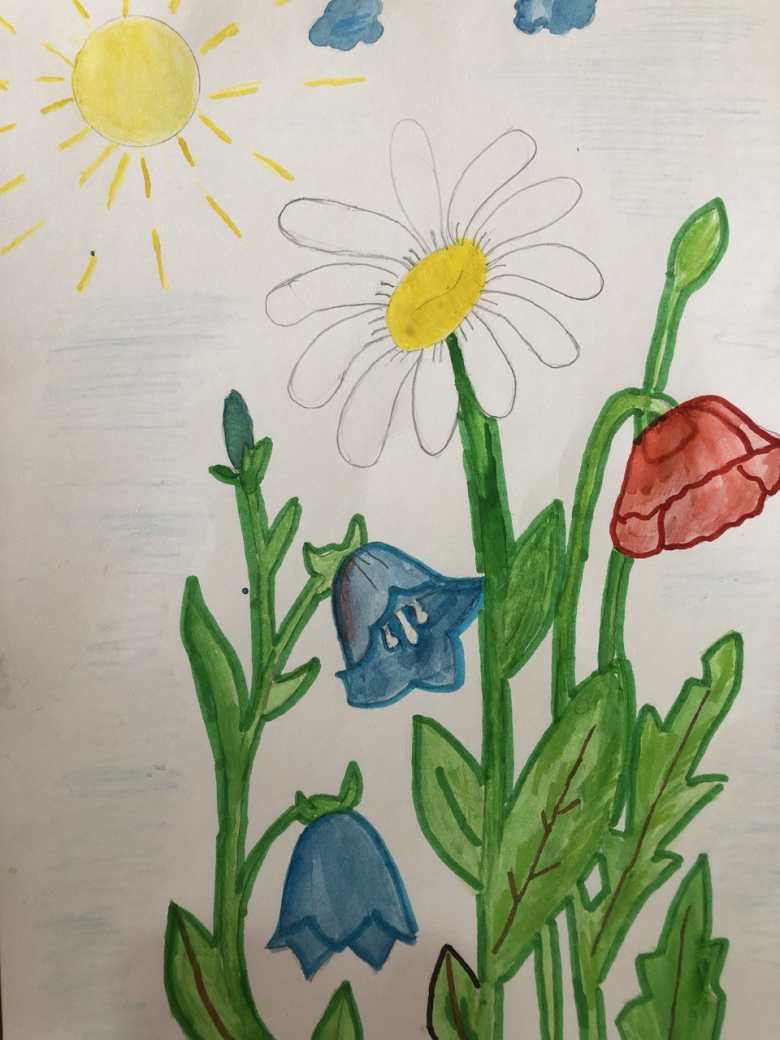 " Полевые цветы"