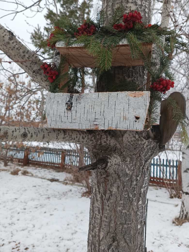 Птичья столовая