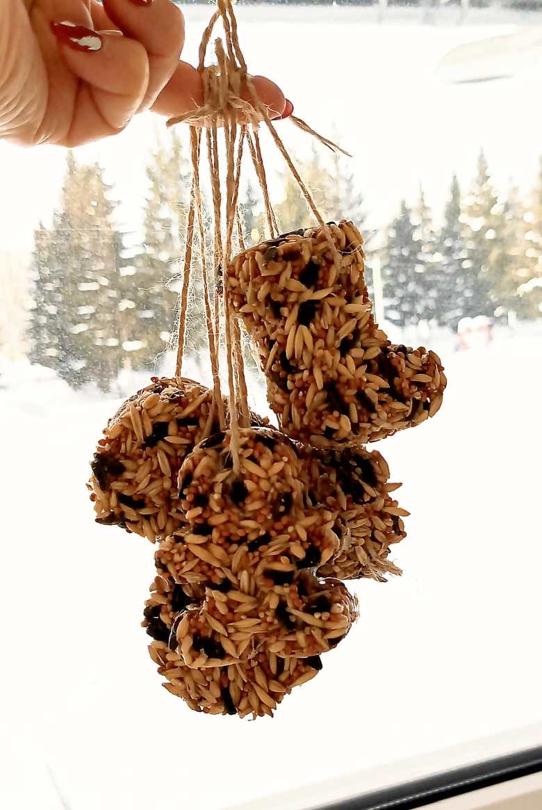 "Покормите птиц зимой..."