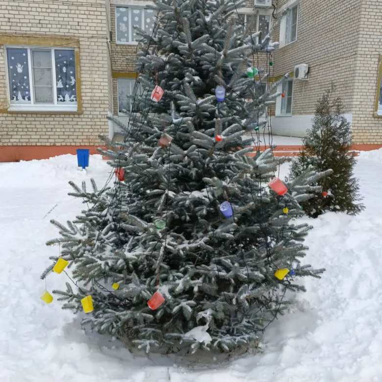 Елочка красавица 