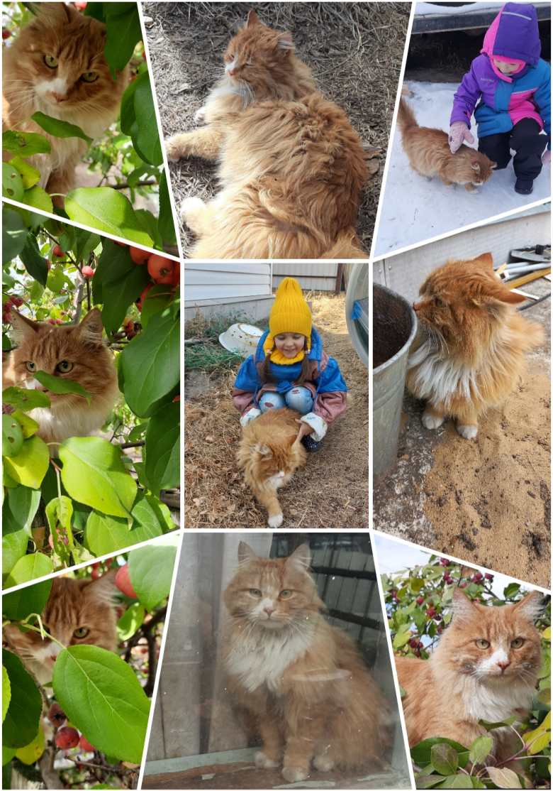 Наш любимый Усик