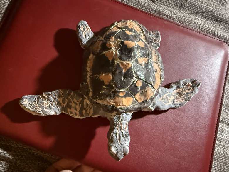 Морская Черепашка по имени Наташка