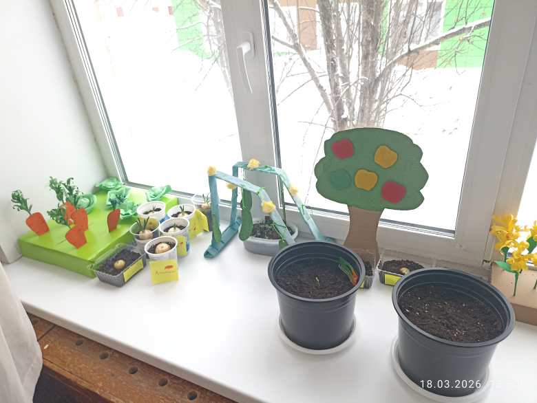 Огород на окне