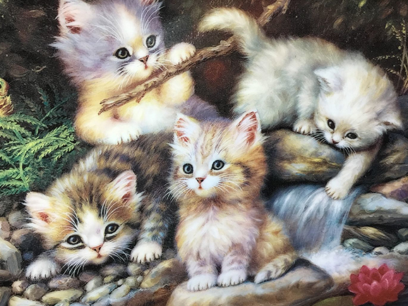 vesennyi bal usatyh konkurs