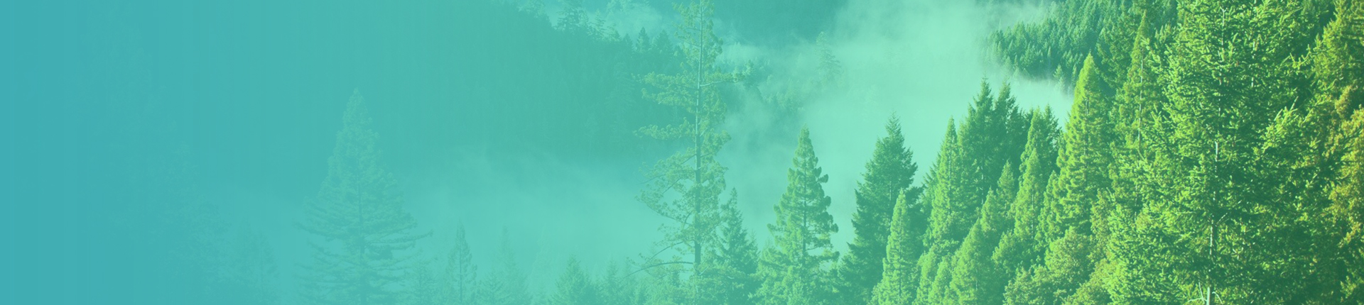 «Голубая жемчужина Вселенной» - конкурс рисунков и детского творчества к Дню Земли