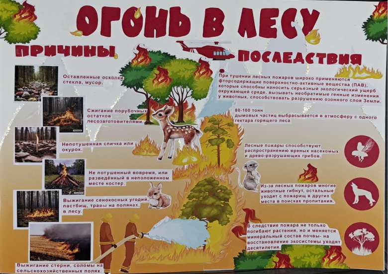 Огонь в лесу