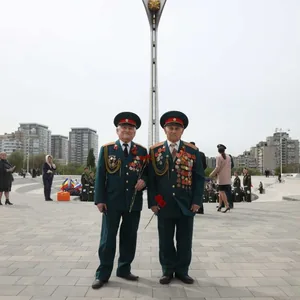 Стелла