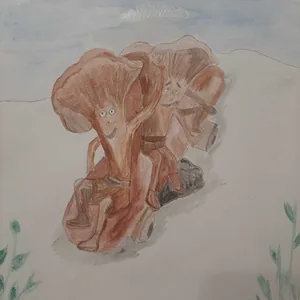 У нас в Рязани - грибы с глазами