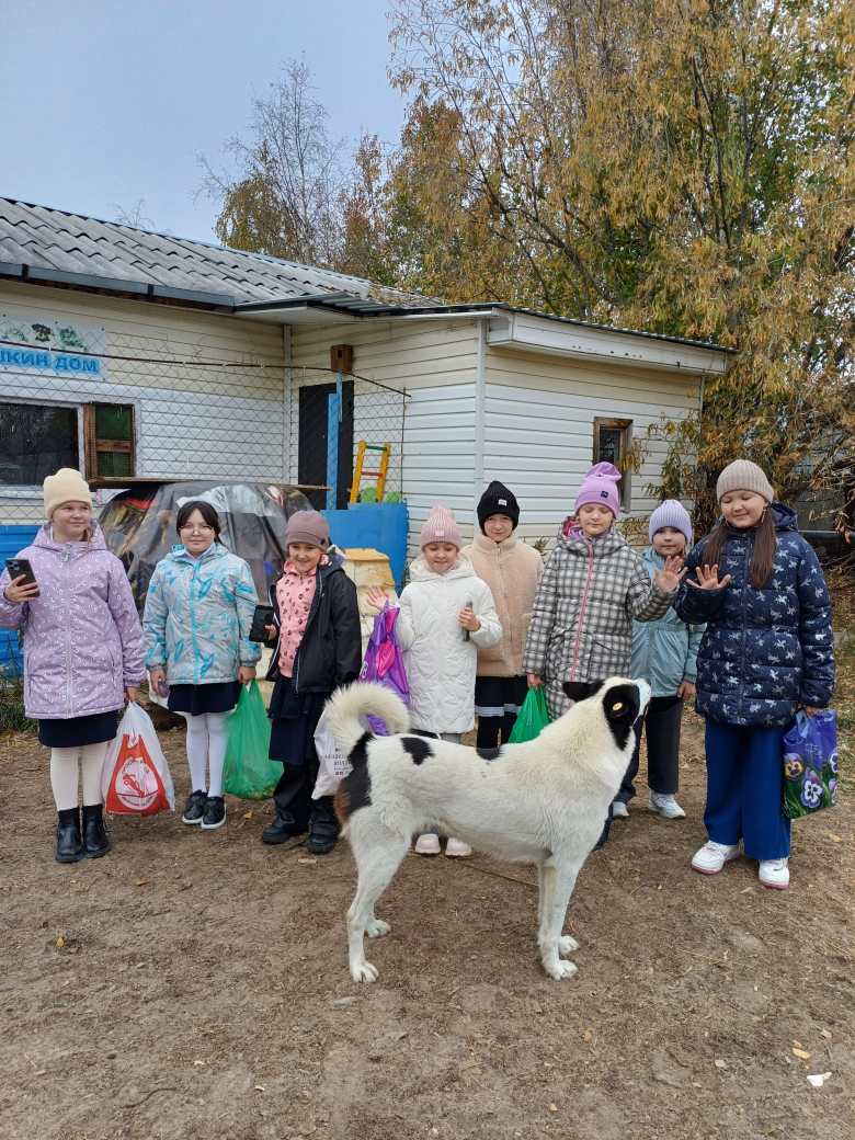 Собака-друг человека