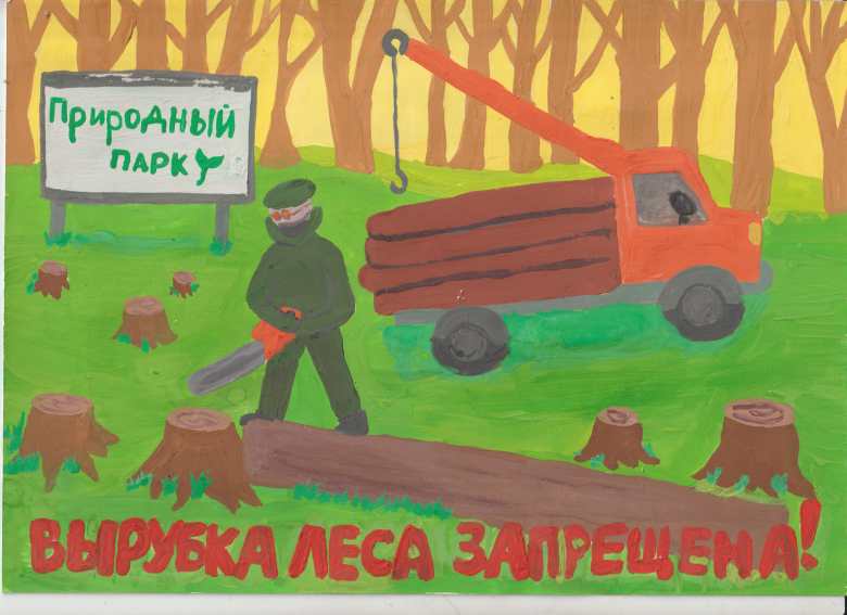 «Вырубка леса запрещена!»