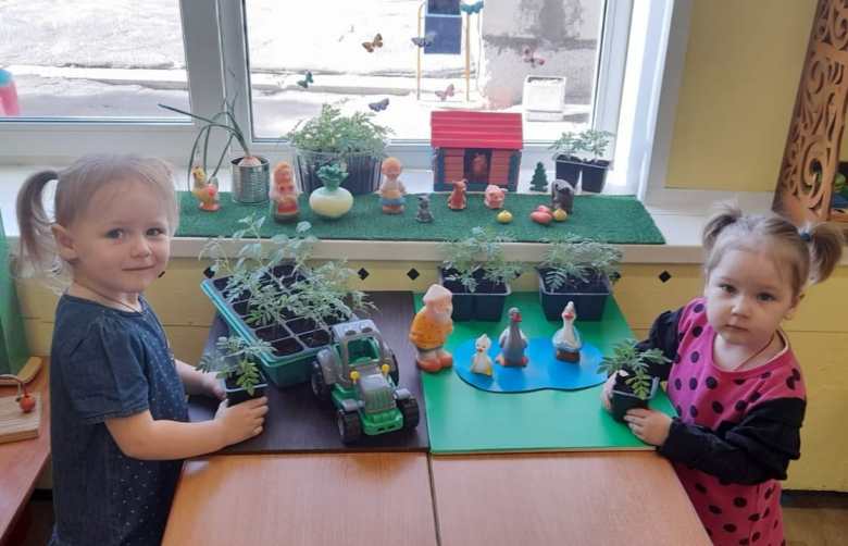 Огород на подоконнике