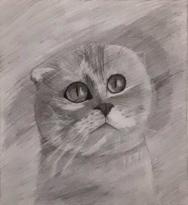 Взгляд, способный заворожить