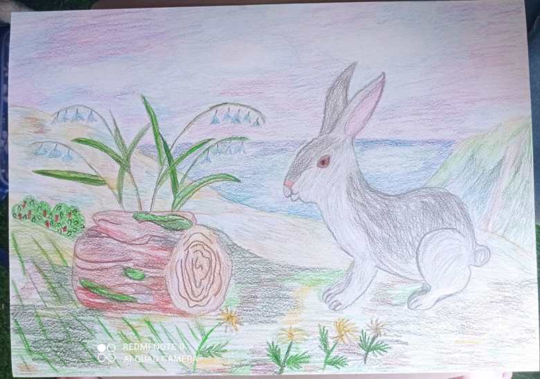 Заяц