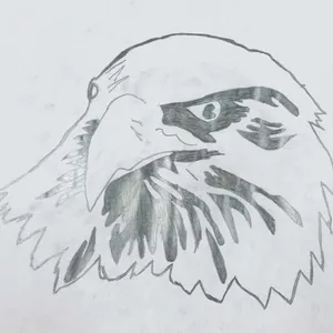 Орёл