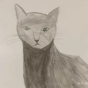 Кот