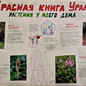 Красная книга Урала. Растения у моего дома