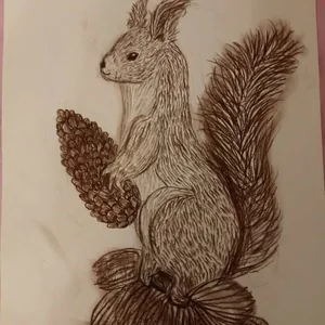 Белочка
