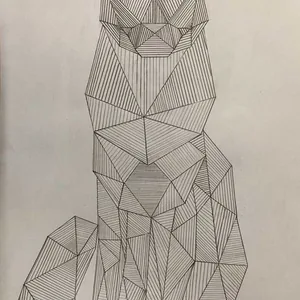 Кот